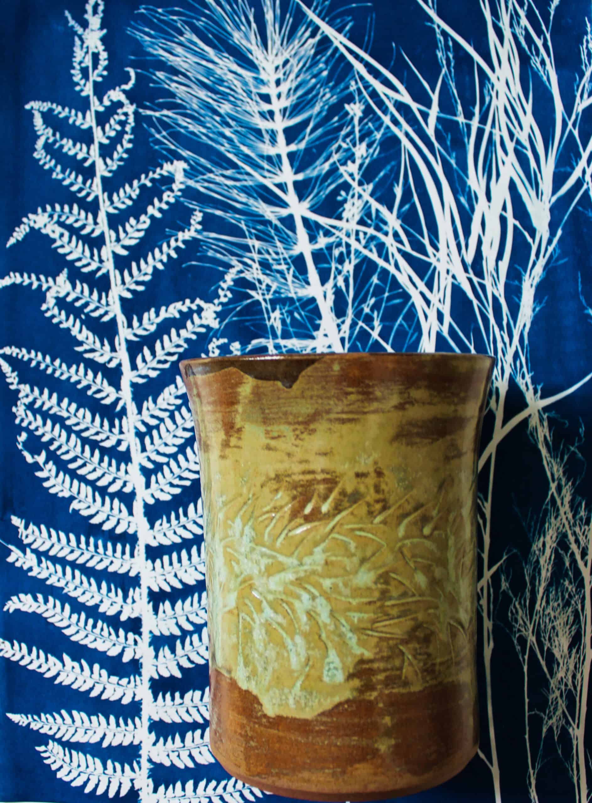 photo d'un pot et d'un cyanotype