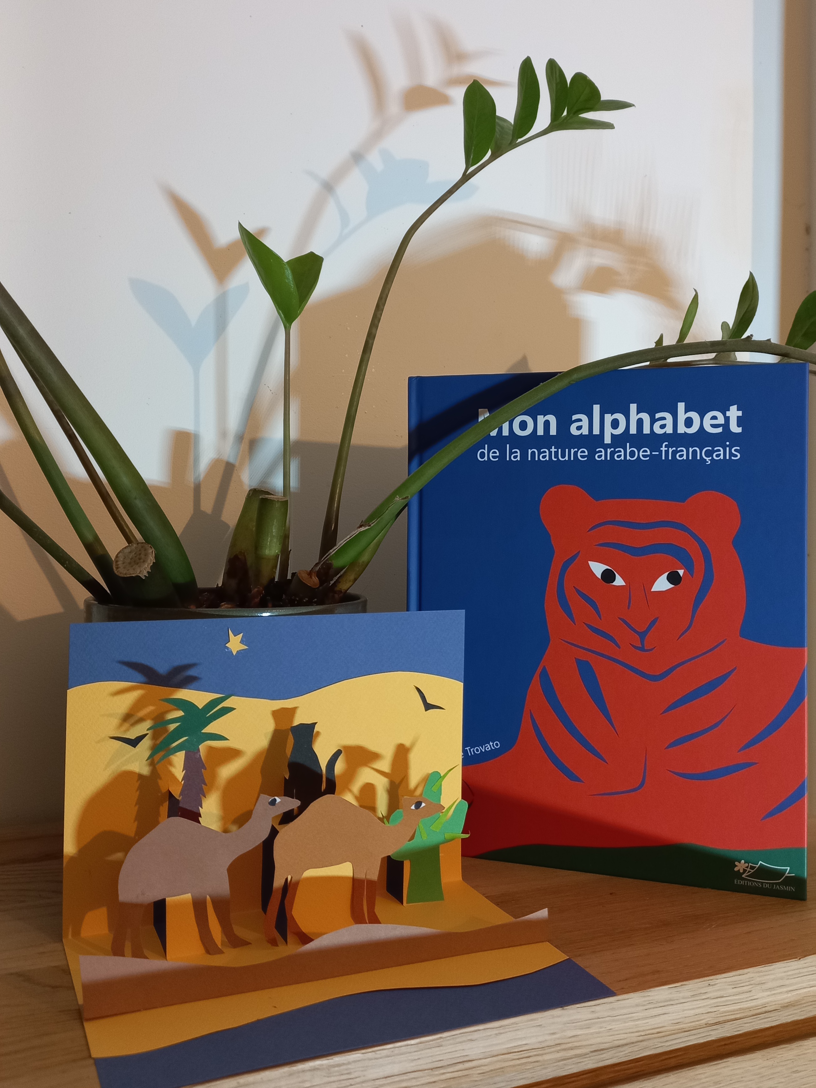 Photo du livre de Trovato